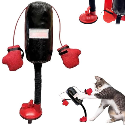 Cat boxing game