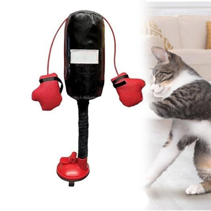 Cat boxing game