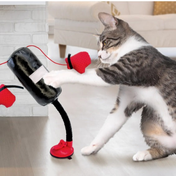 Cat boxing game